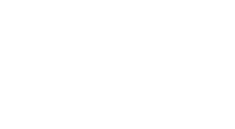 Experience